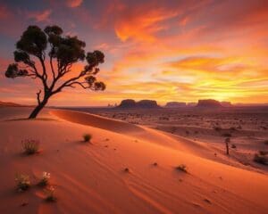 Aventuras no deserto australiano: Beleza árida