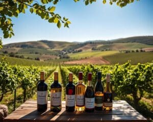 Herdade do Esporão: Vinhos e azeites no atacado