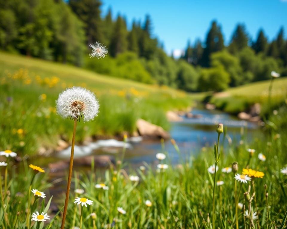 Como sentir leveza mesmo nos dias difíceis?