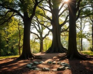 Como um retiro revela padrões familiares ocultos?