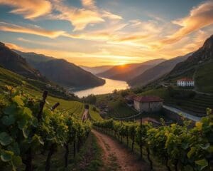 região Douro